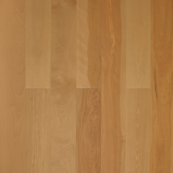Amber Wood Фьюжн Береза желтая селект лак